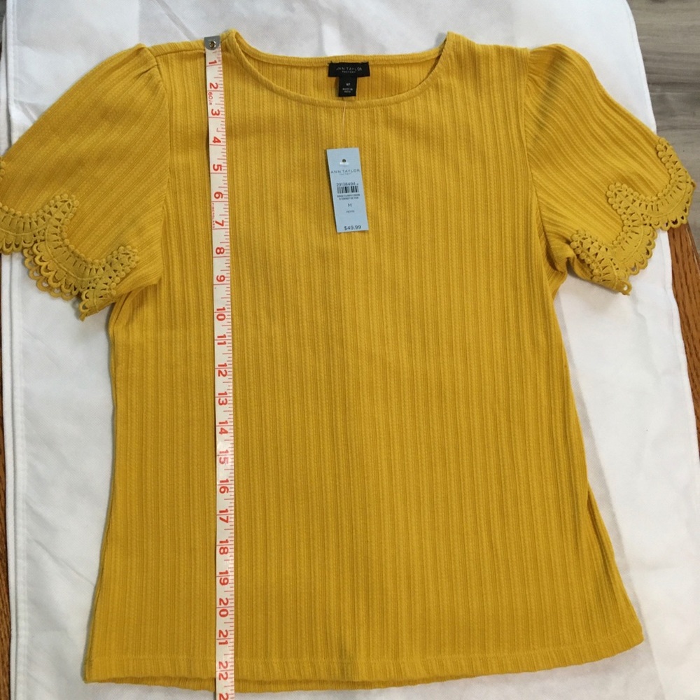 Ann Taylor Career t- Shirt. Size medium